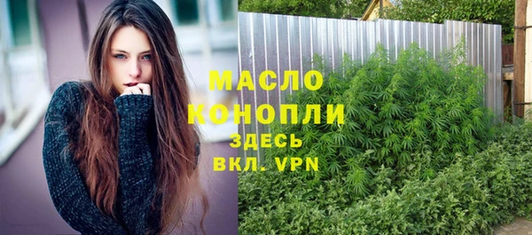 гидра Бородино