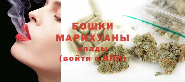 гидра Бородино