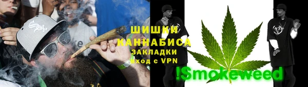 гидра Бородино