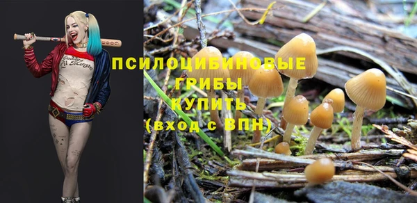 2c-b Нягань