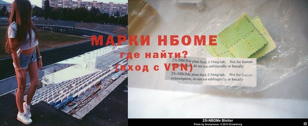 гидра Бородино